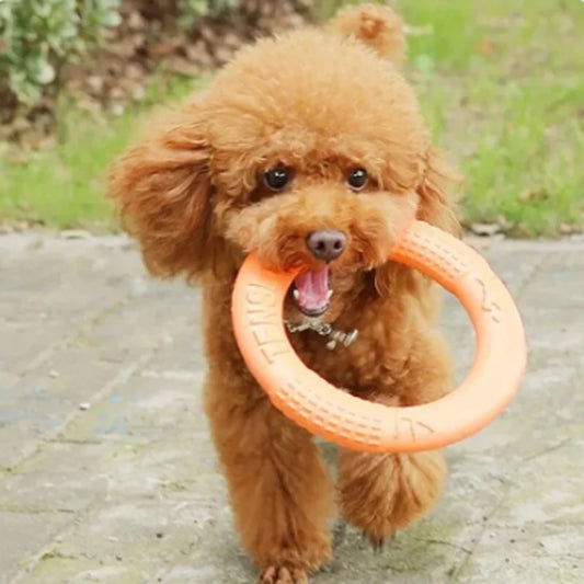 1pc Orange Dog Toys Pet Flying Disk Training Ring Puller EVA